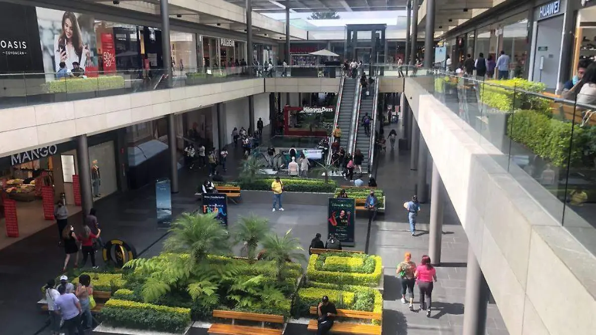 PLAZA OASIS. COYOACAN. FOTO ROMINA SOLÍS (15)